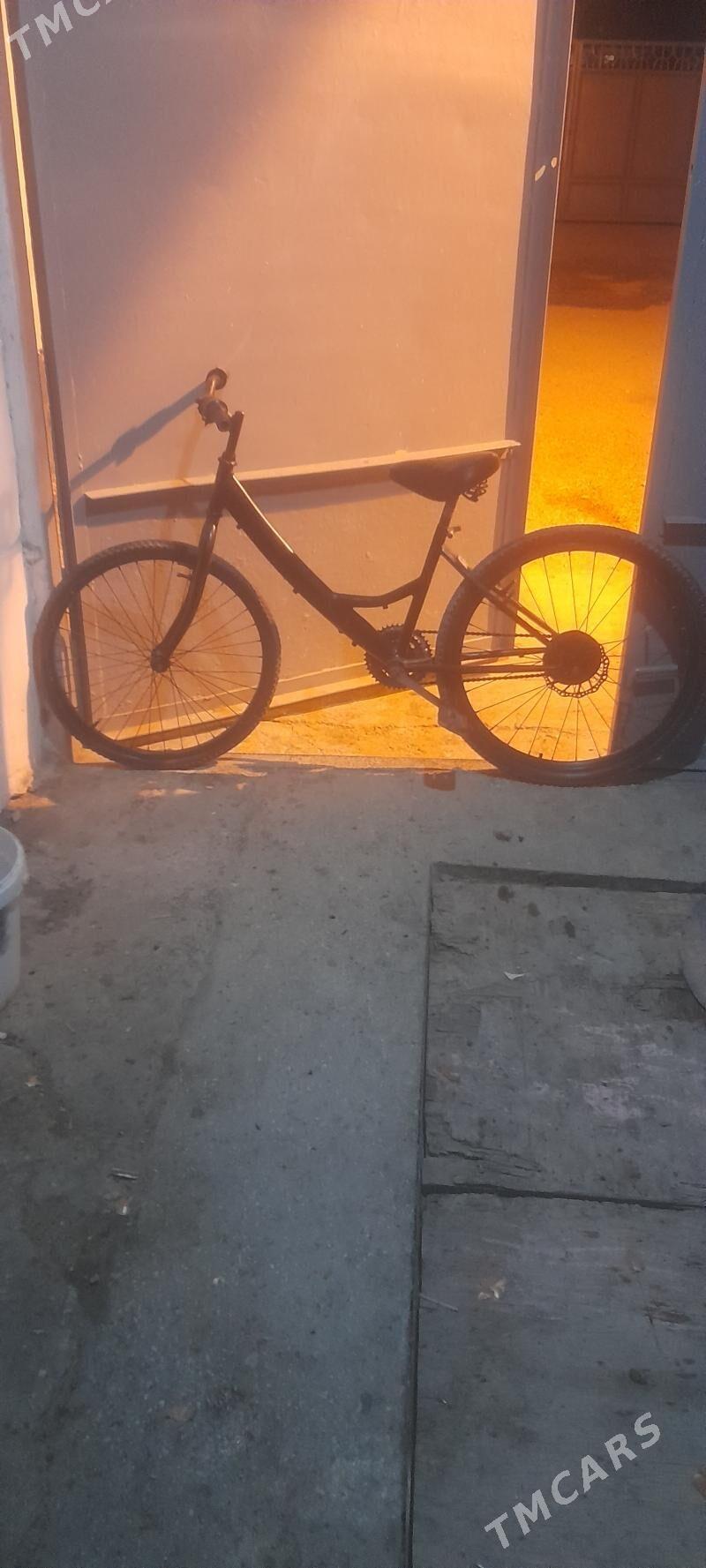 tigir - Balkanabat - img 1