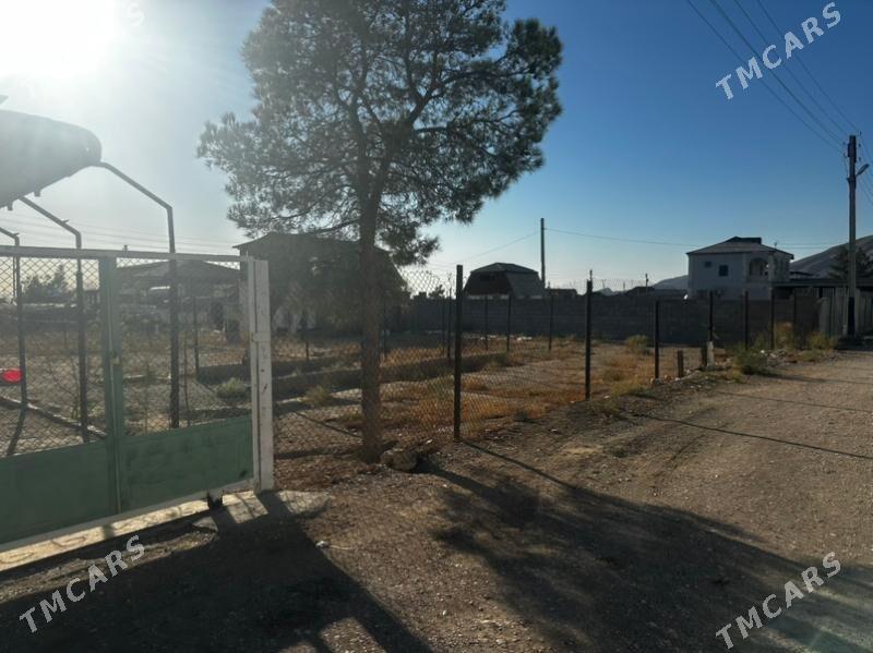 Daca - Balkanabat - img 3