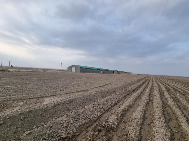 maldarçylyk  ferma - Kaka - img 2