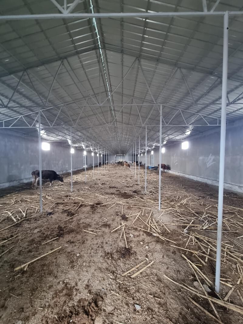 maldarçylyk  ferma - Kaka - img 6