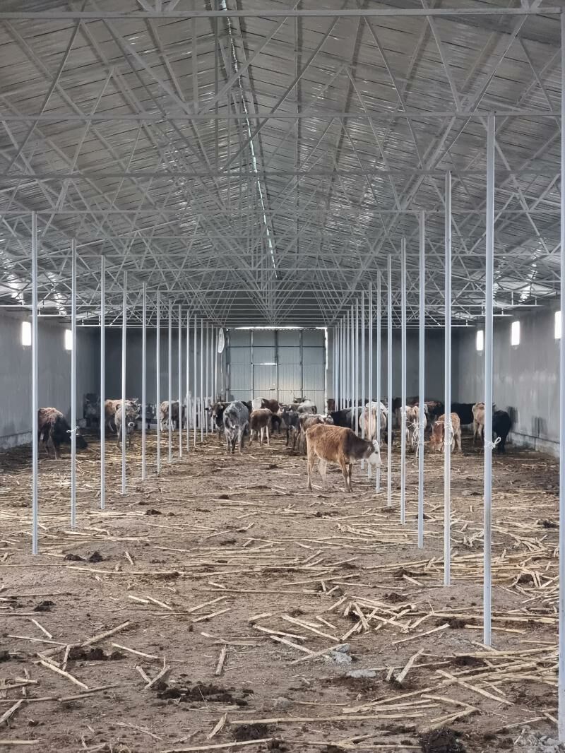 maldarçylyk  ferma - Kaka - img 4