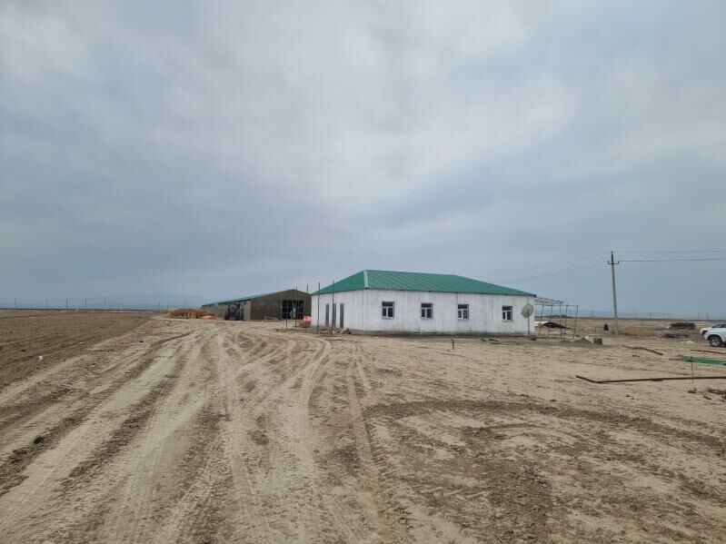 maldarçylyk  ferma - Kaka - img 3