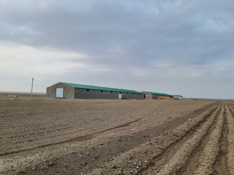 maldarçylyk  ferma - Kaka - img 5