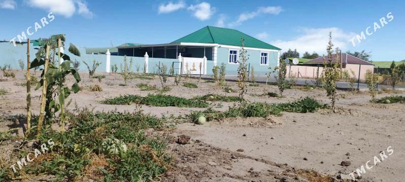 Buzmeyin gunes plan jay - Бузмеин ГРЭС - img 7