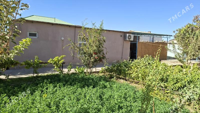 Ahal welaýat Ýašlyk šäherçe - Ak bugdaý etraby - img 7