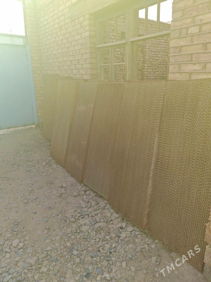 towuklar ucin pet - Tejen - img 2