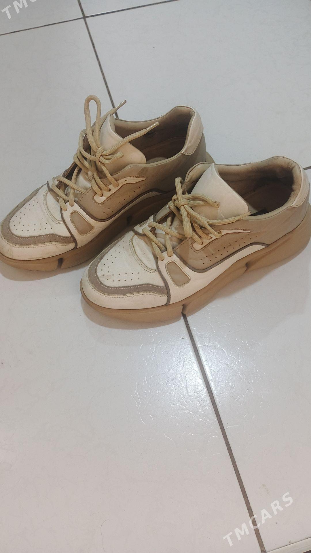 mužskoy krasofka - Daşoguz - img 5