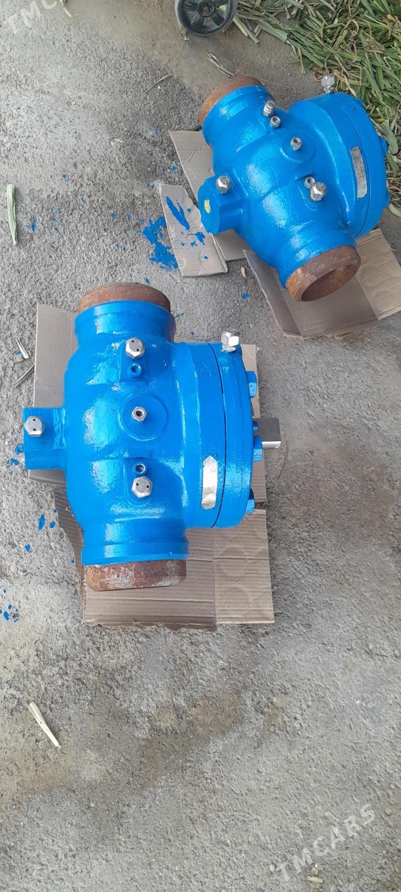 zodwiṣka - Mary - img 1