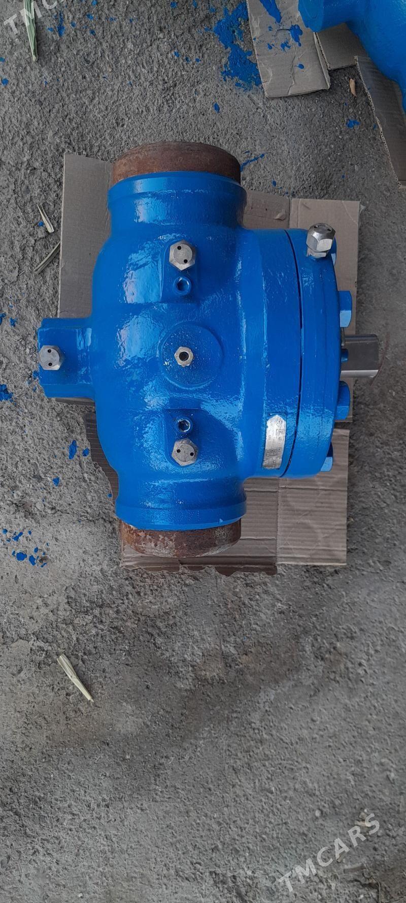 zodwiṣka - Mary - img 3