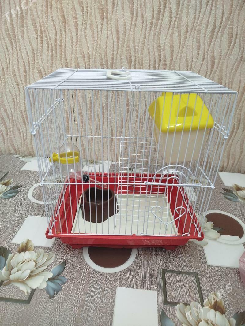 Клетка - Türkmenbaşy - img 1