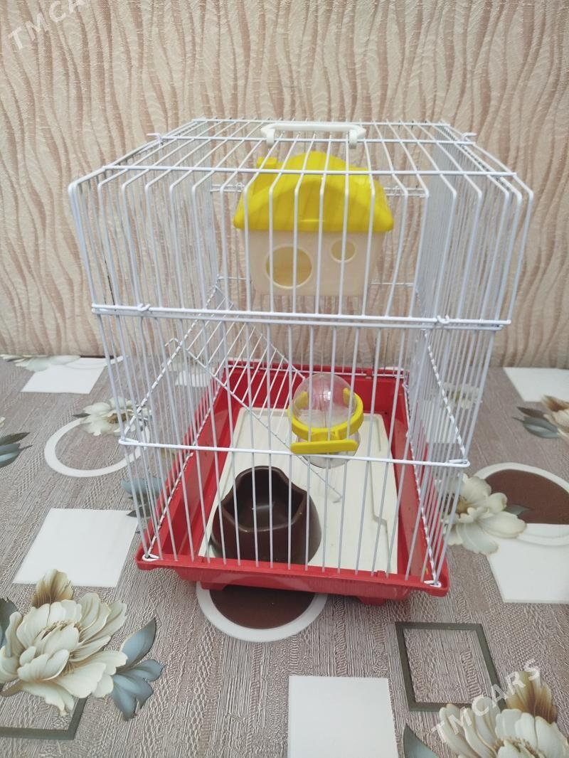 Клетка - Туркменбаши - img 1