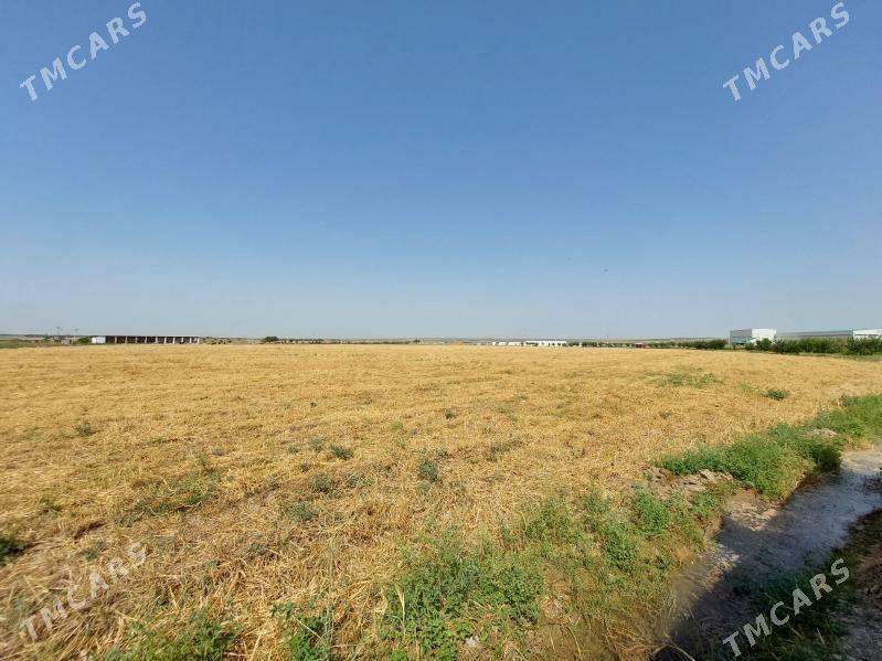 BIZNES - Aşgabat - img 6