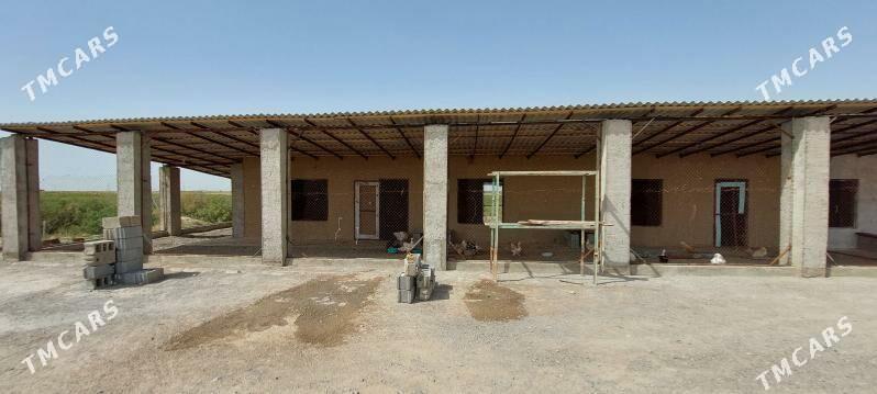 BIZNES - Aşgabat - img 9