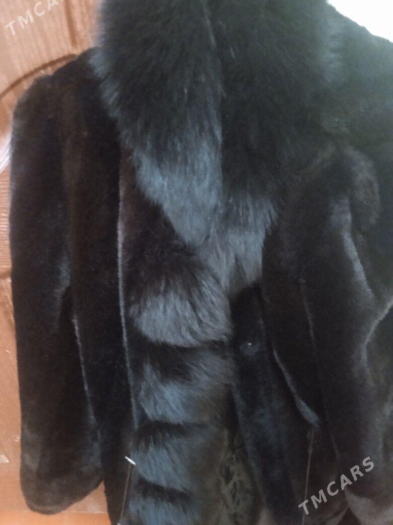 şuba - Türkmenabat - img 3