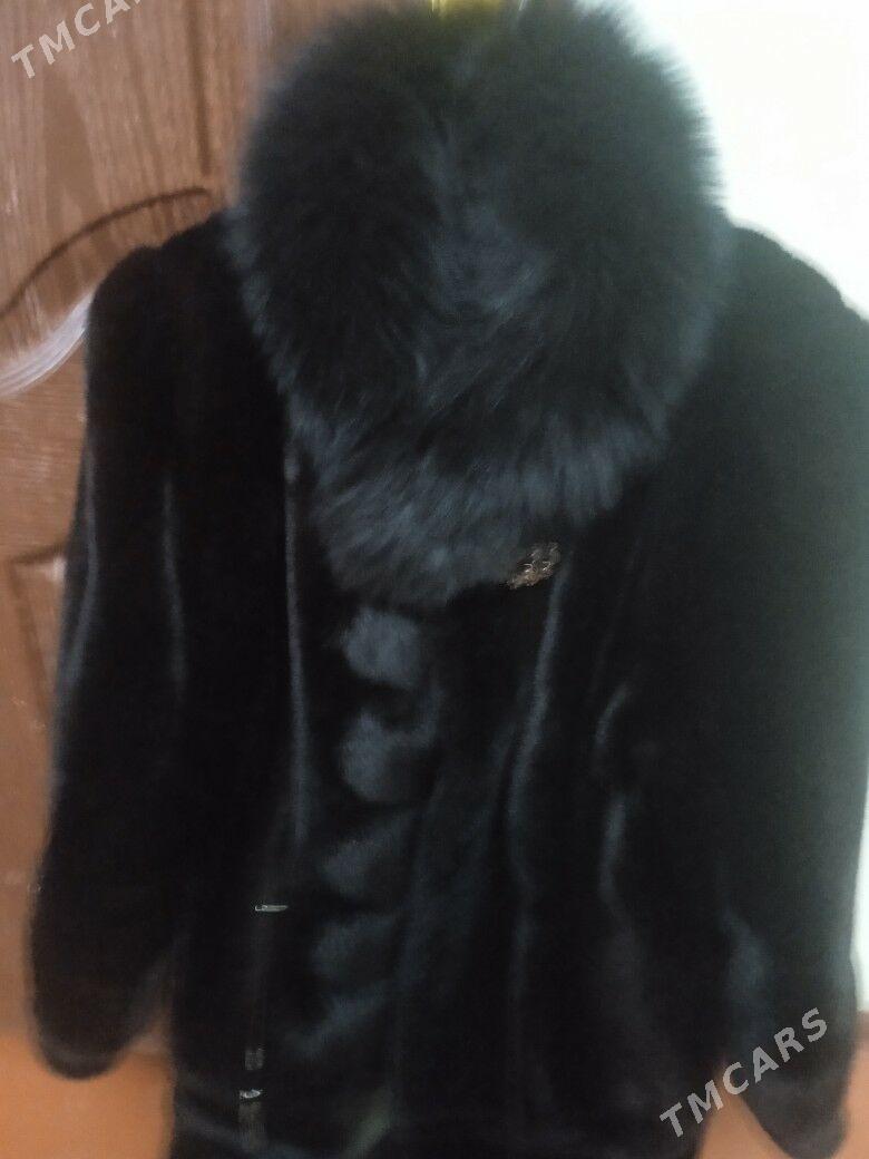 şuba - Türkmenabat - img 2