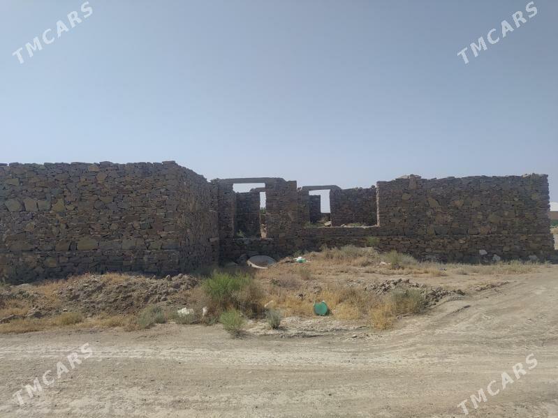 jay - Köýtendag - img 3