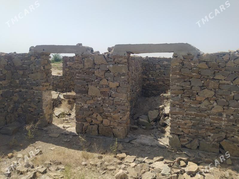 jay - Köýtendag - img 8