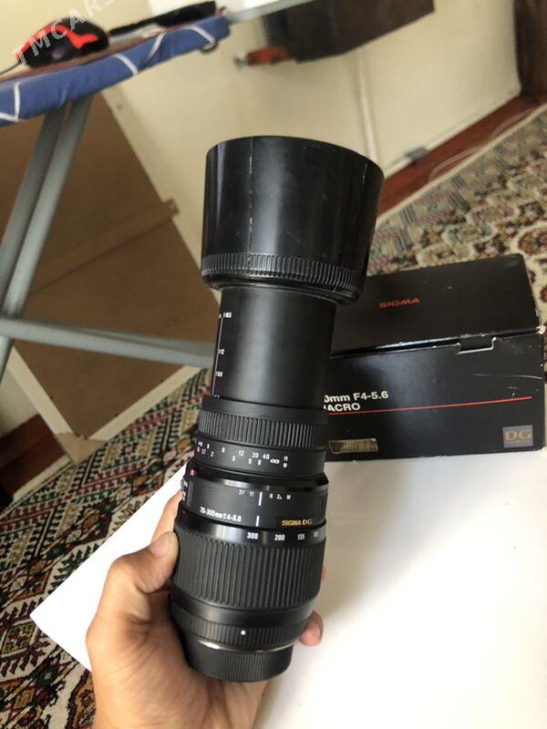 nikon sigma 70-300  98% - Mary - img 4