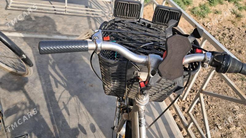 Welesepet - Mary - img 5