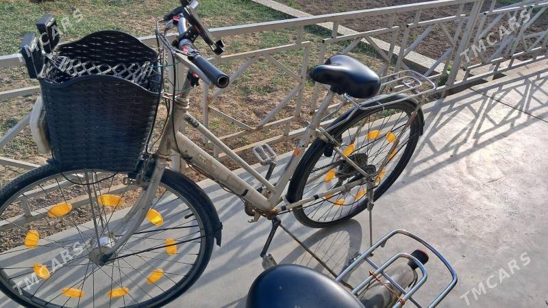 Welesepet - Mary - img 2