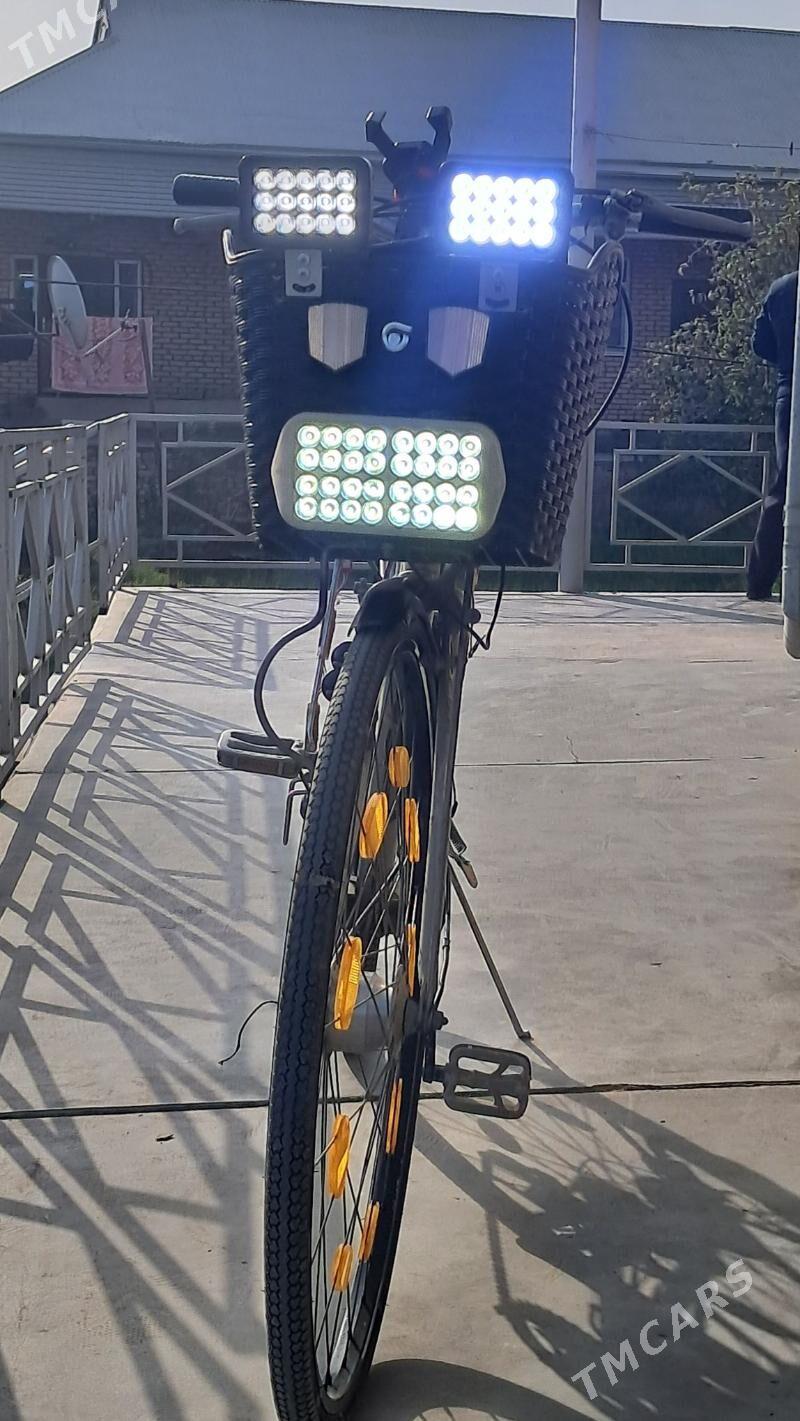 Welesepet - Mary - img 4