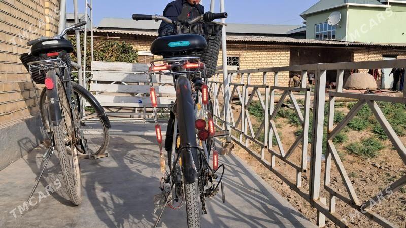 Welesepet - Mary - img 3