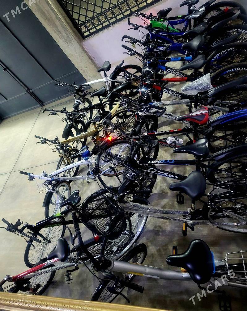 Tigir. - Чоганлы - img 5