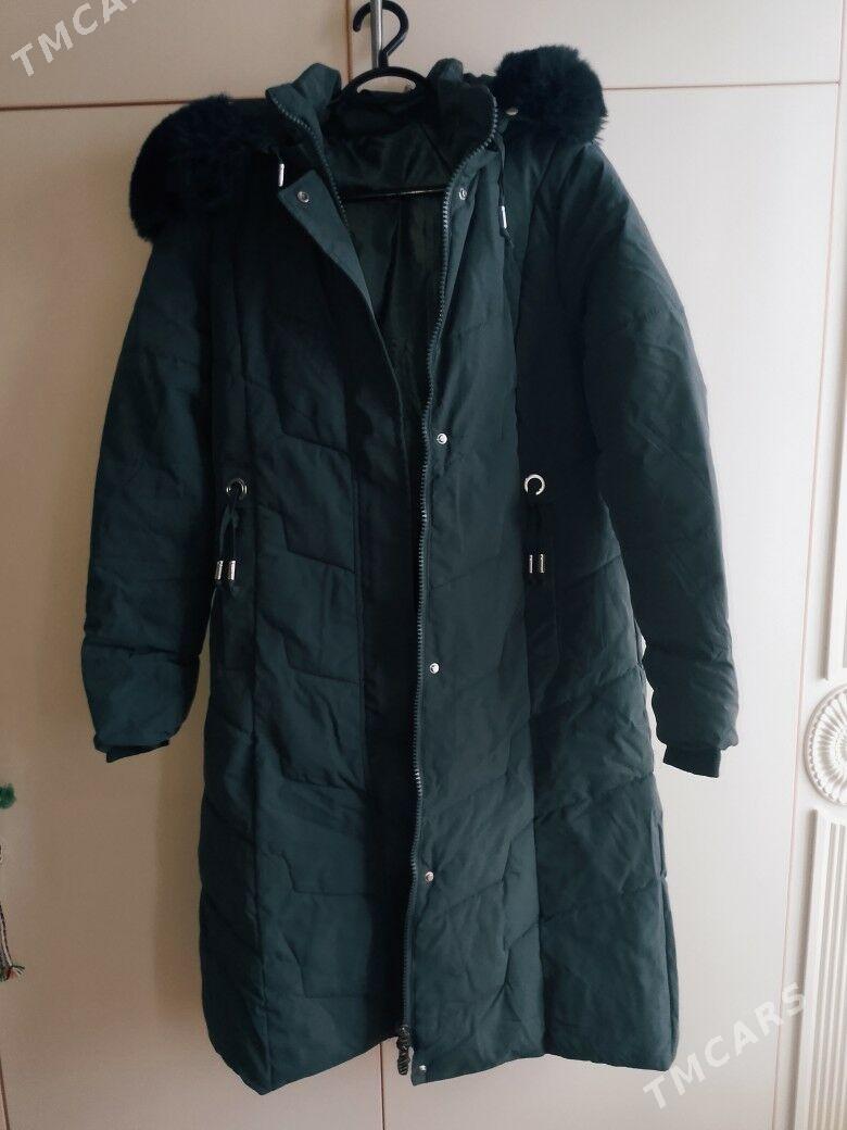 gyş kurtga gyzyňky - Балканабат - img 2