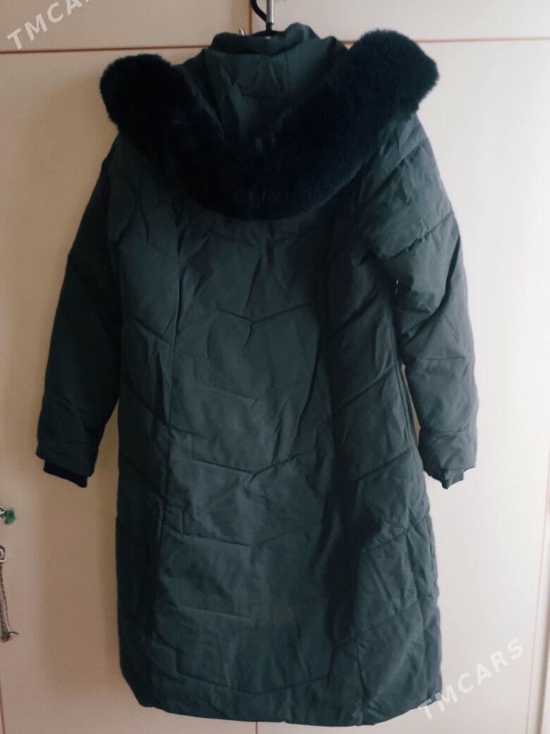 gyş kurtga gyzyňky - Балканабат - img 1