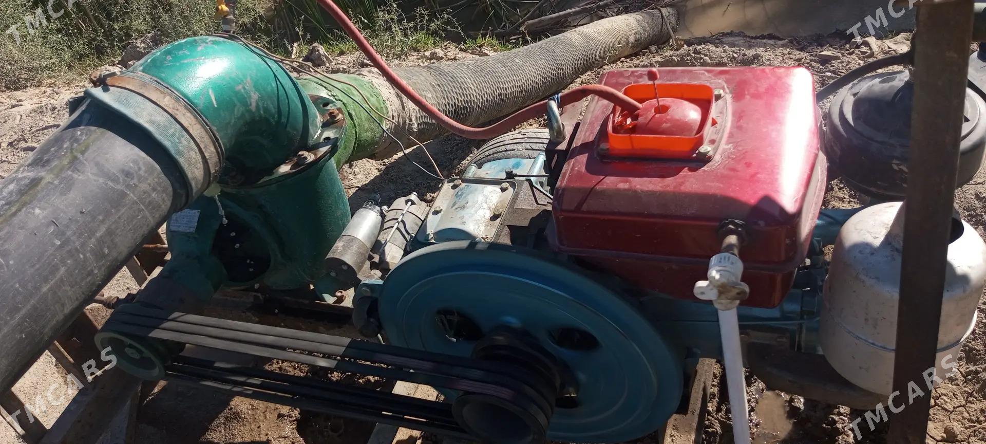 Nasoz - Akdepe - img 1