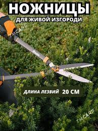 Gazon gaycy - 2 mkr - img 2