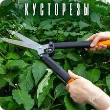 Gazon gaycy - 2 mkr - img 1