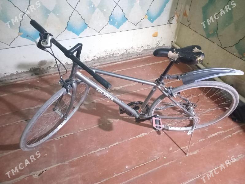 Spartivni velosiped - Daşoguz - img 1