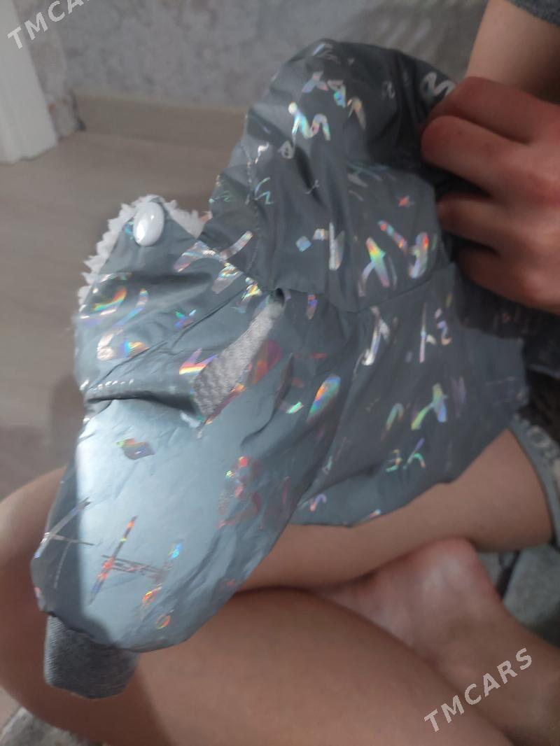 Одежда для собаки - Aşgabat - img 4