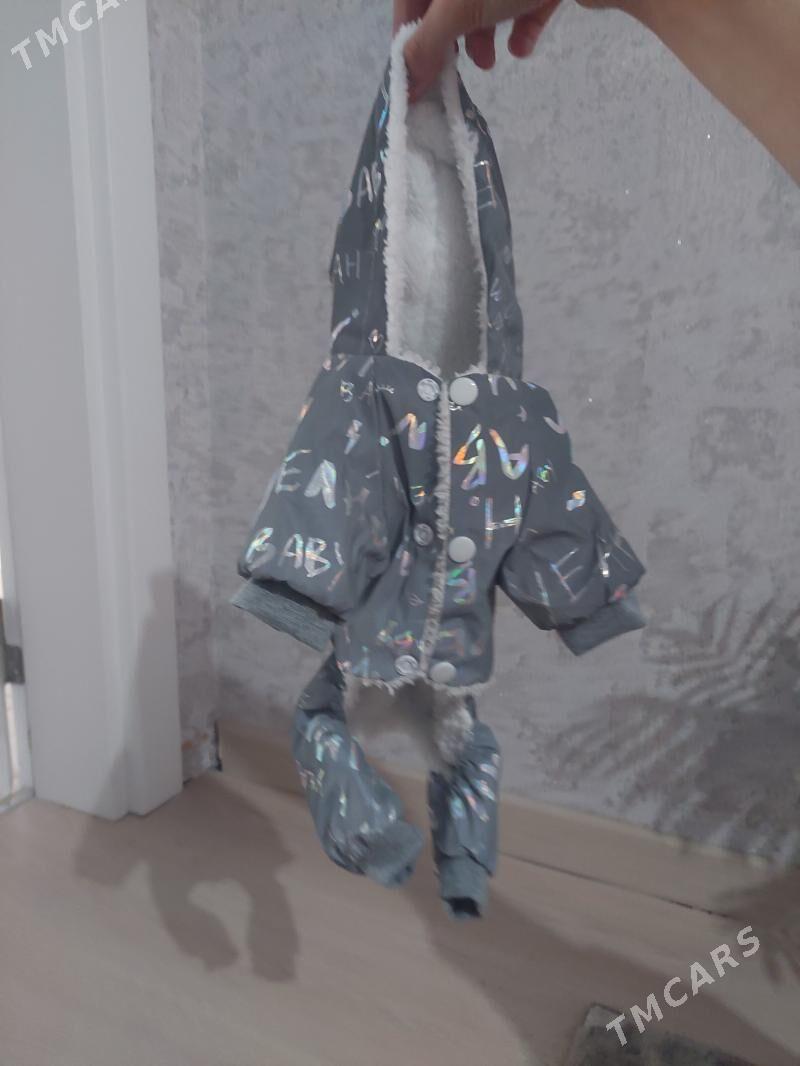 Одежда для собаки - Aşgabat - img 3