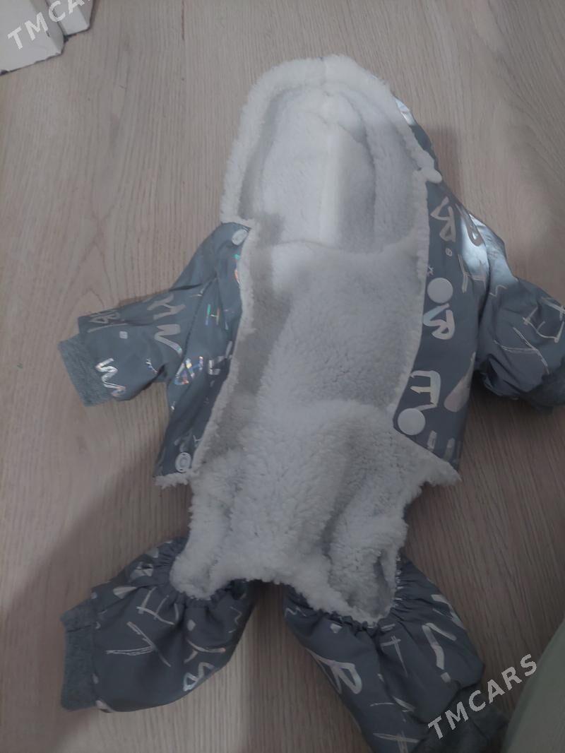 Одежда для собаки - Aşgabat - img 1