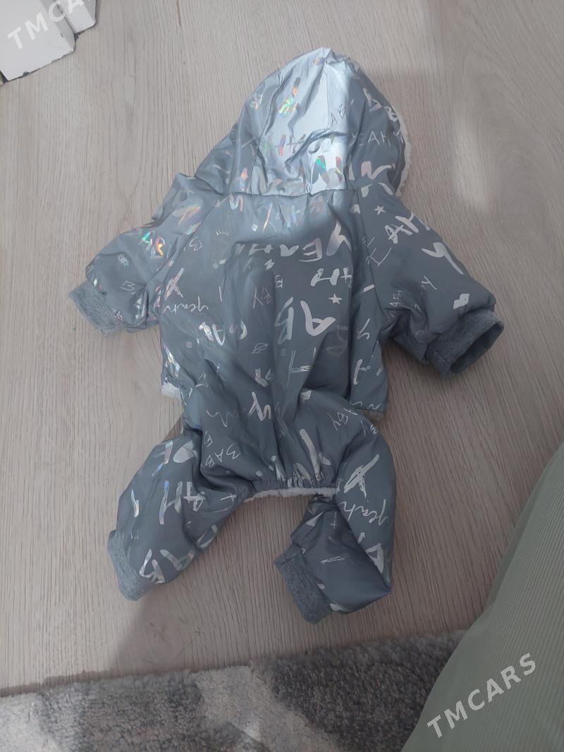 Одежда для собаки - Aşgabat - img 2