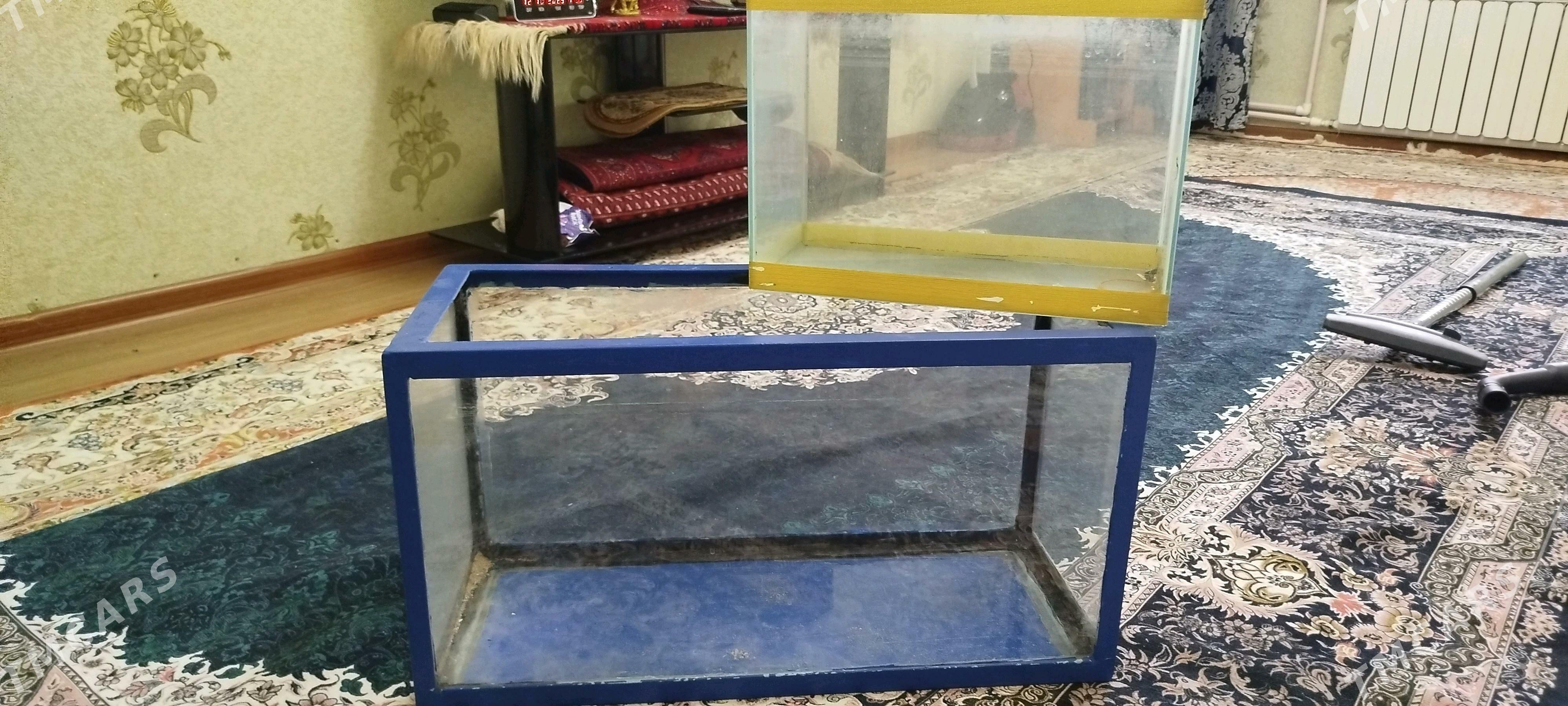 Аквариум 60 лит, аквариум 40 л - Aşgabat - img 1