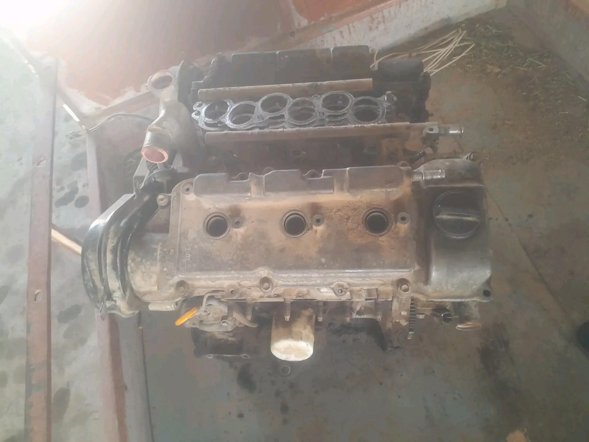 3lık avalon mator 5 000 TMT - Dänew - img 1