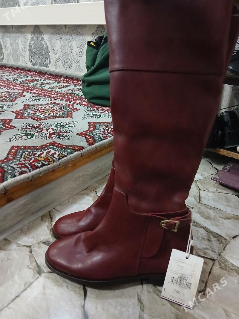 ädik polo - Дашогуз - img 2