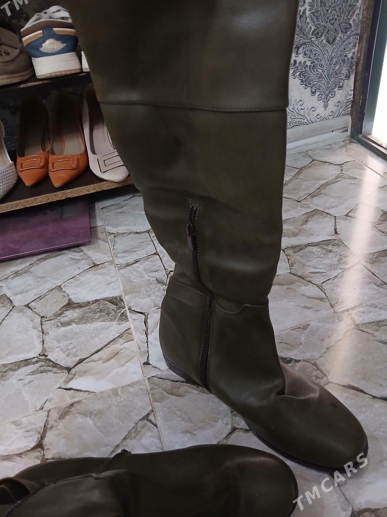 ädik polo - Дашогуз - img 3