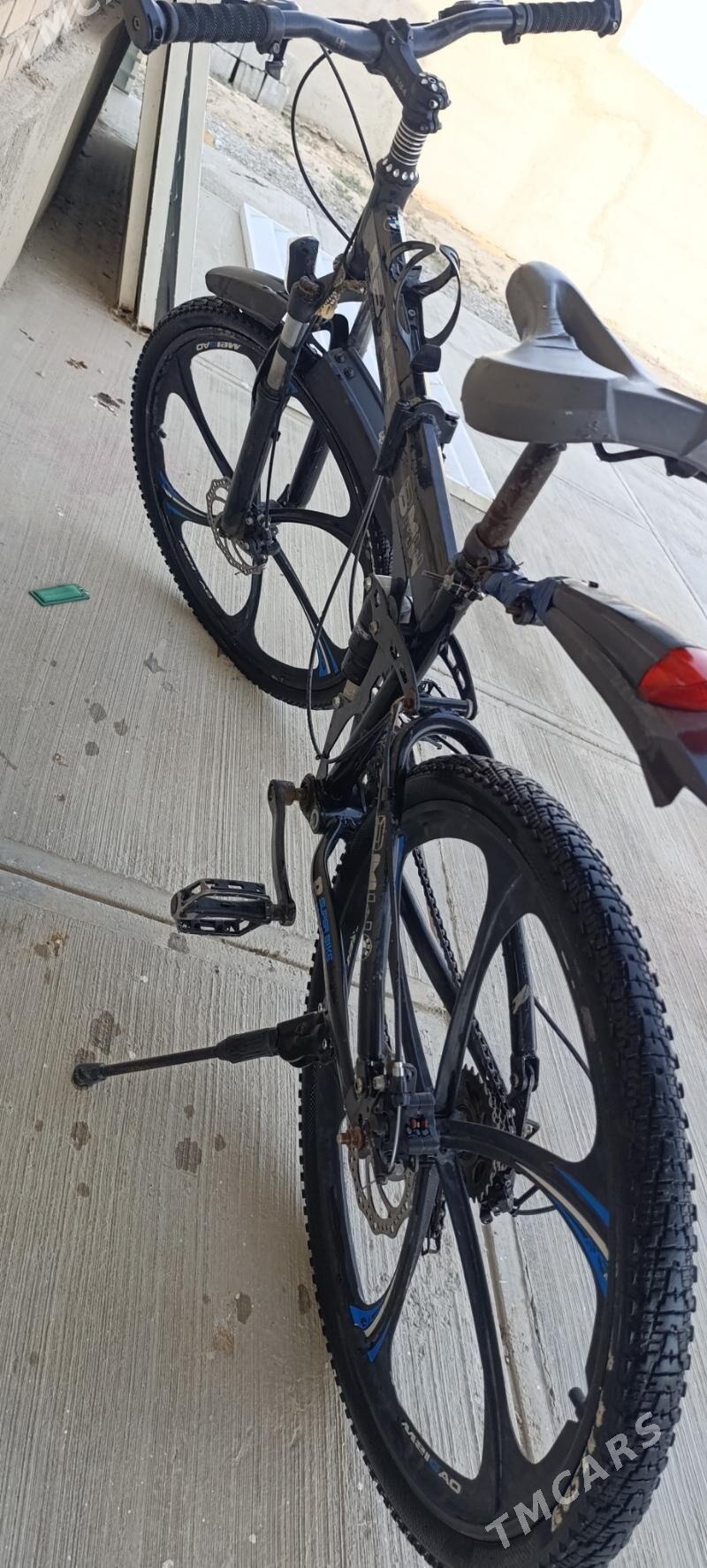 TIGIR BMW - Kaka - img 4