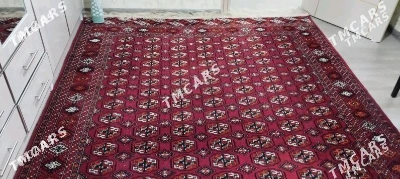 HALY - Türkmenbaşy - img 2