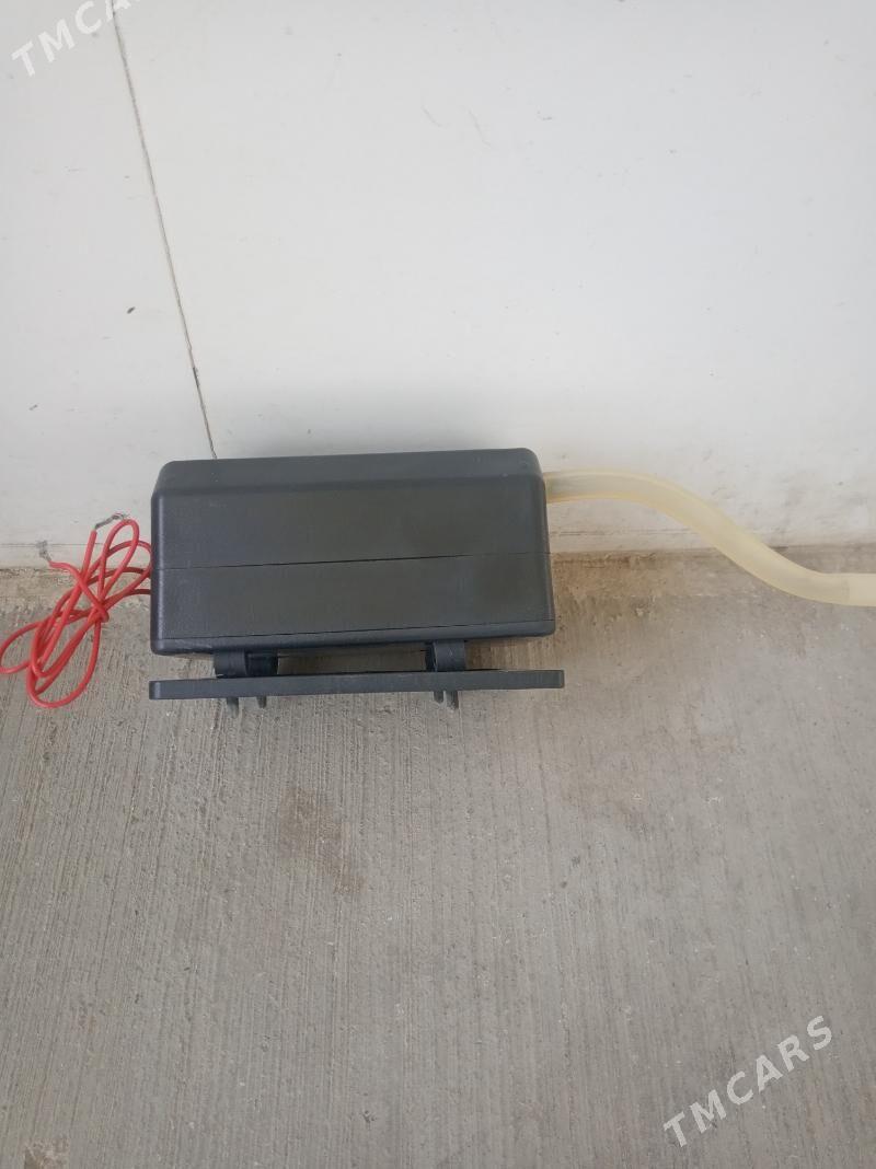 хова берйан - Ашхабад - img 1