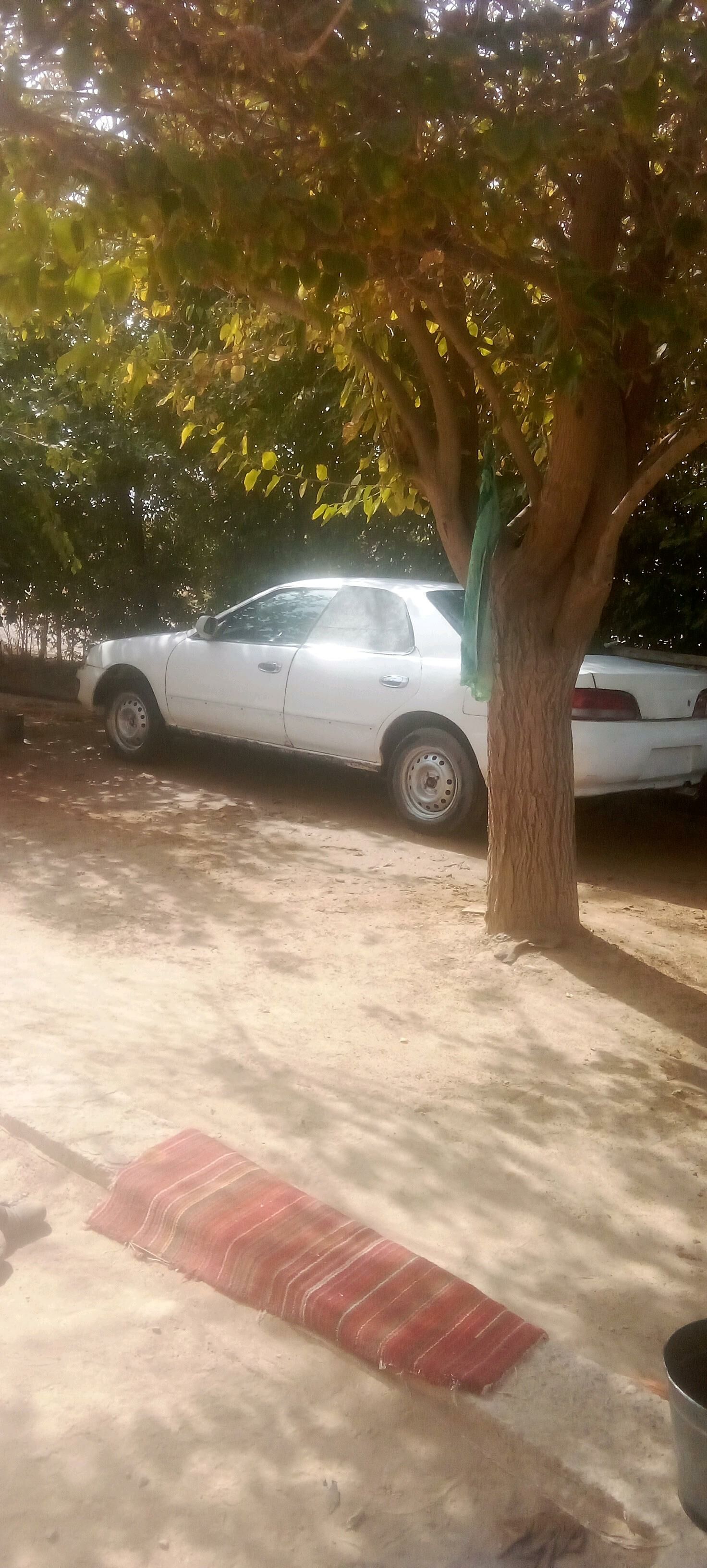 Nissan Primera 1996 - 5 000 TMT - Oguz han - img 1