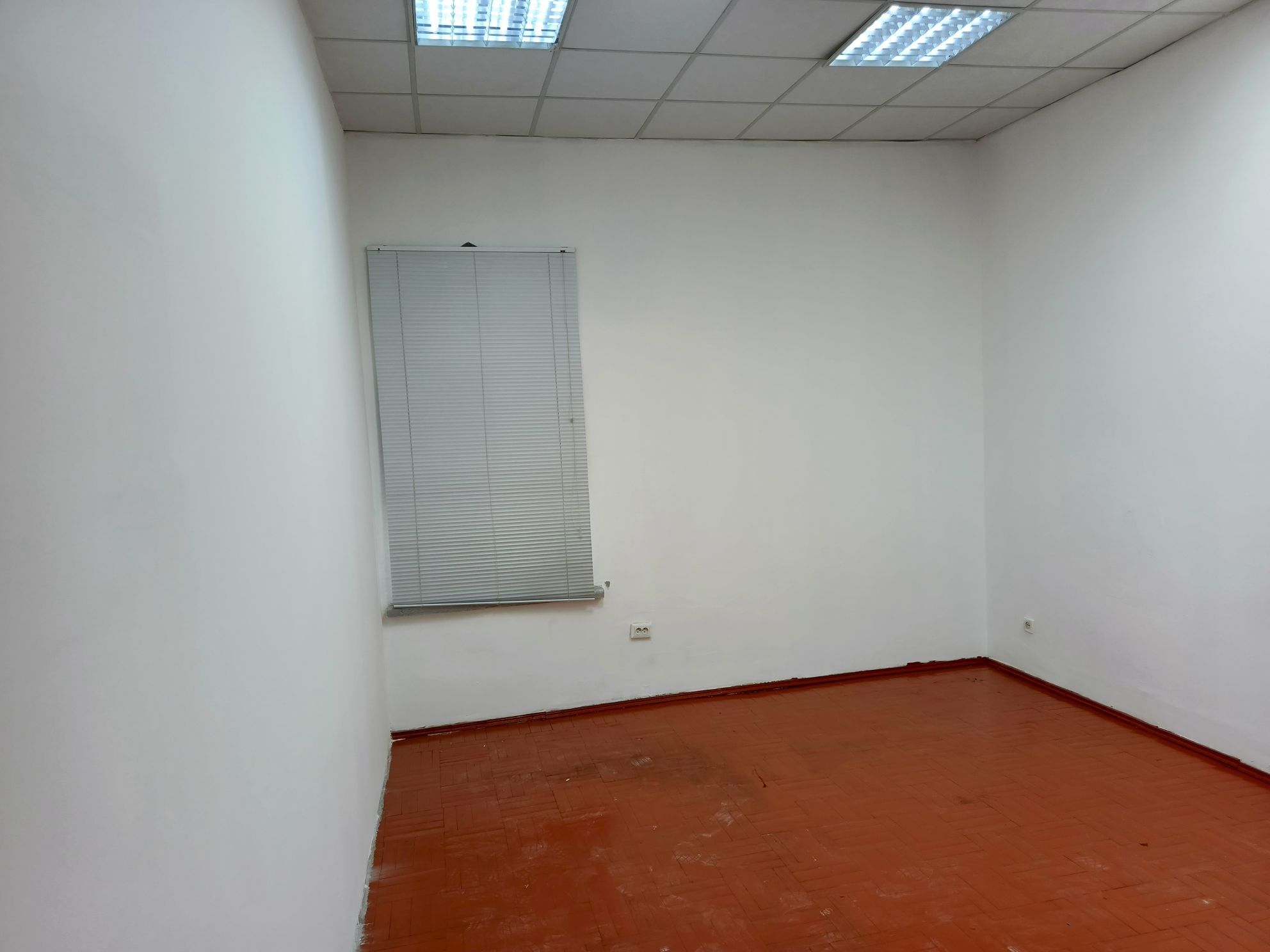 ‎ORS BAZAR РУССКИЙ БАЗАР OFIS - Aşgabat - img 2