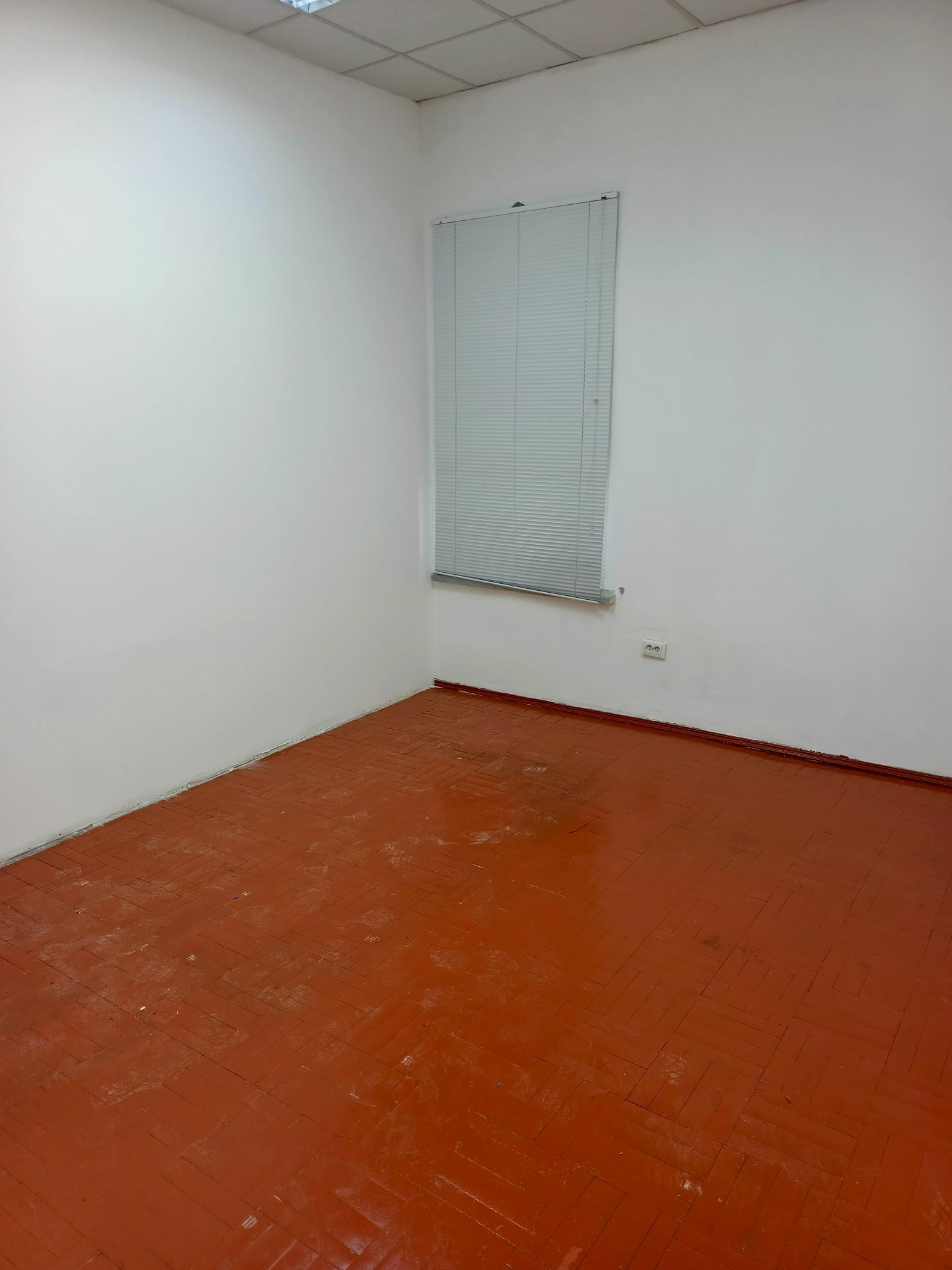‎ORS BAZAR РУССКИЙ БАЗАР OFIS - Aşgabat - img 5