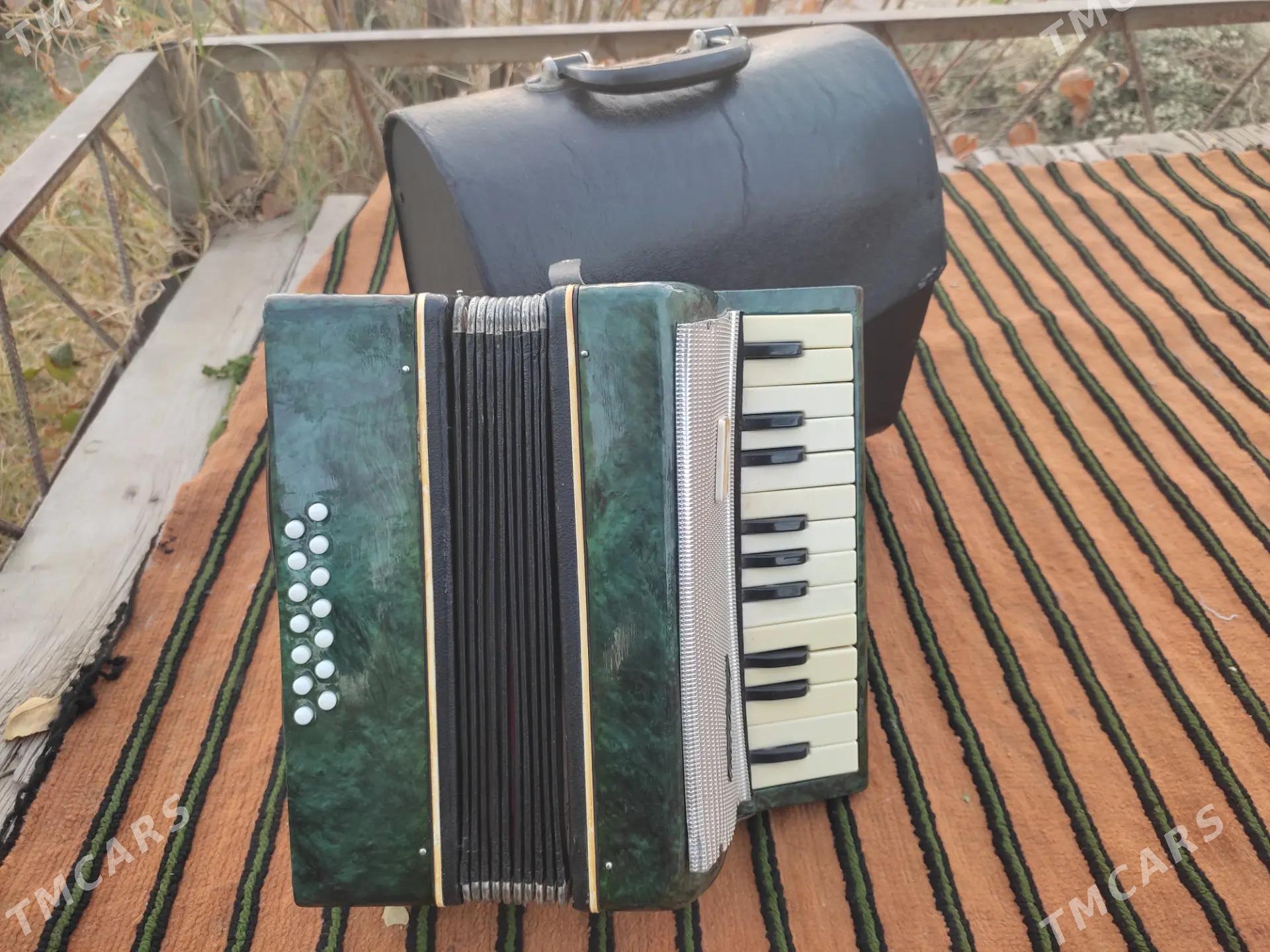 Akardiyon çaga - Мары - img 2