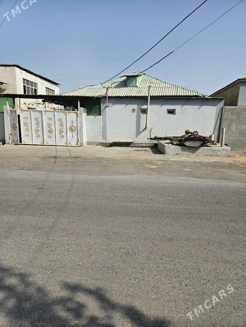 Jaÿ satlyk - Garadamak - img 5