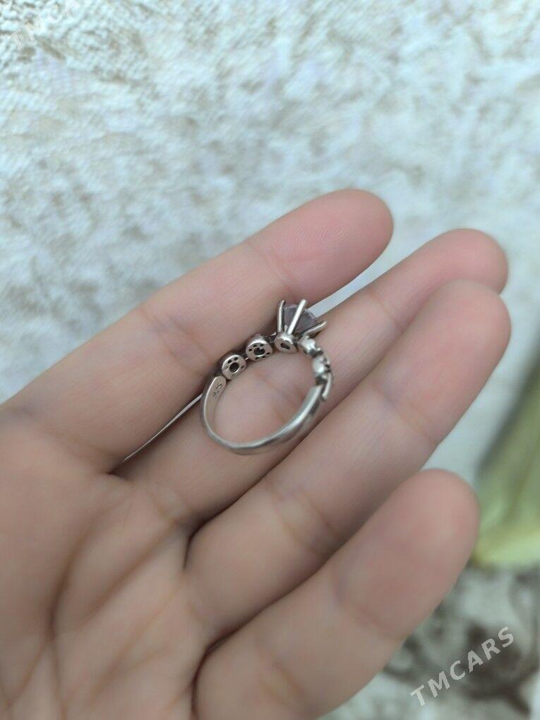 kumuş yuzuk sepoçka kamplekt - Mary - img 2